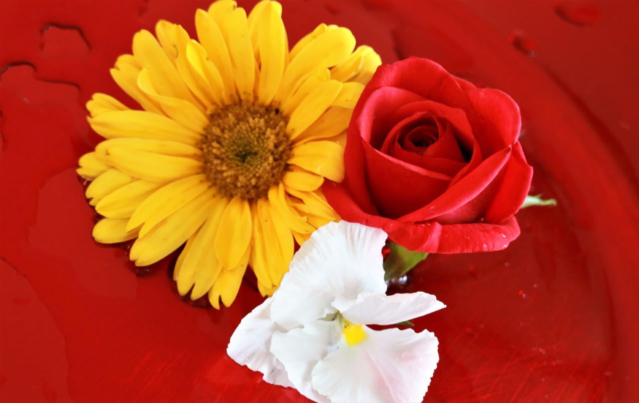 IMG_2299.jpg IMG_2299.jpg