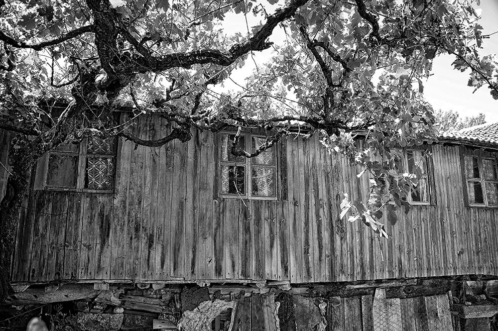 _JMD3253 - Cópia.JPG