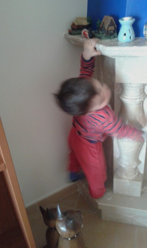 2016-05-26 08.30.41.jpg 2016-05-26 08.30.41.jpg