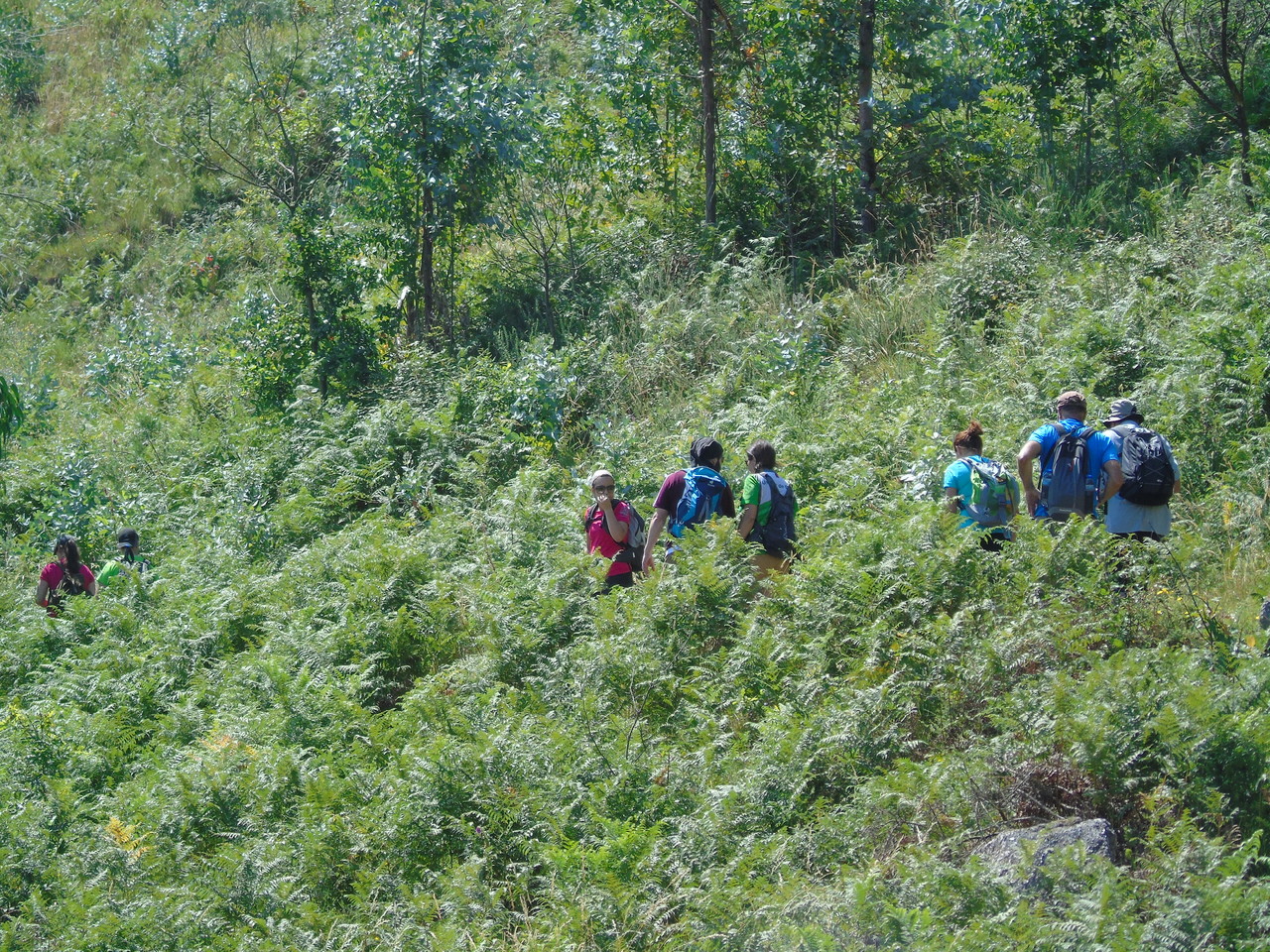 DSC02164.JPG DSC02164.JPG