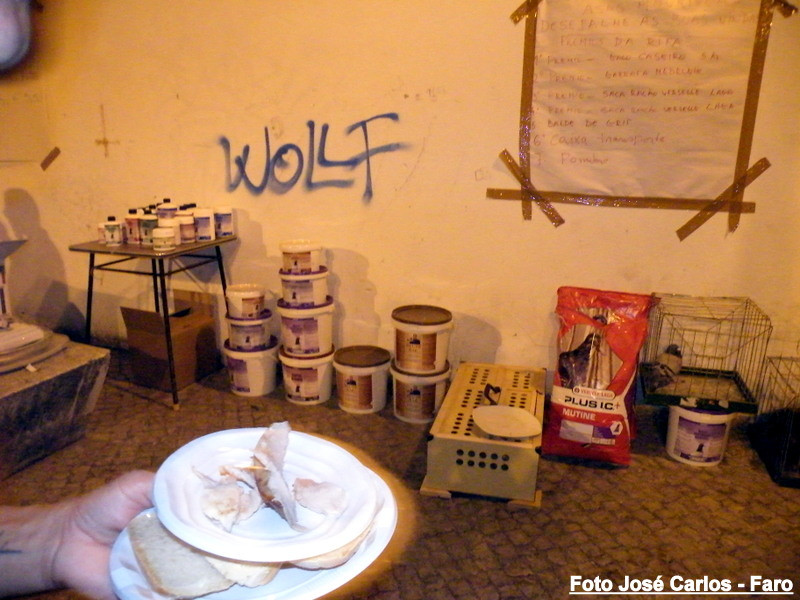 Leilão de Paderne 2016 016.JPG