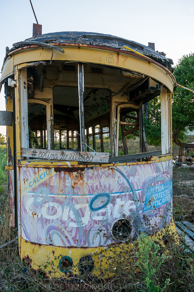 DSC04949.jpg DSC04949.jpg