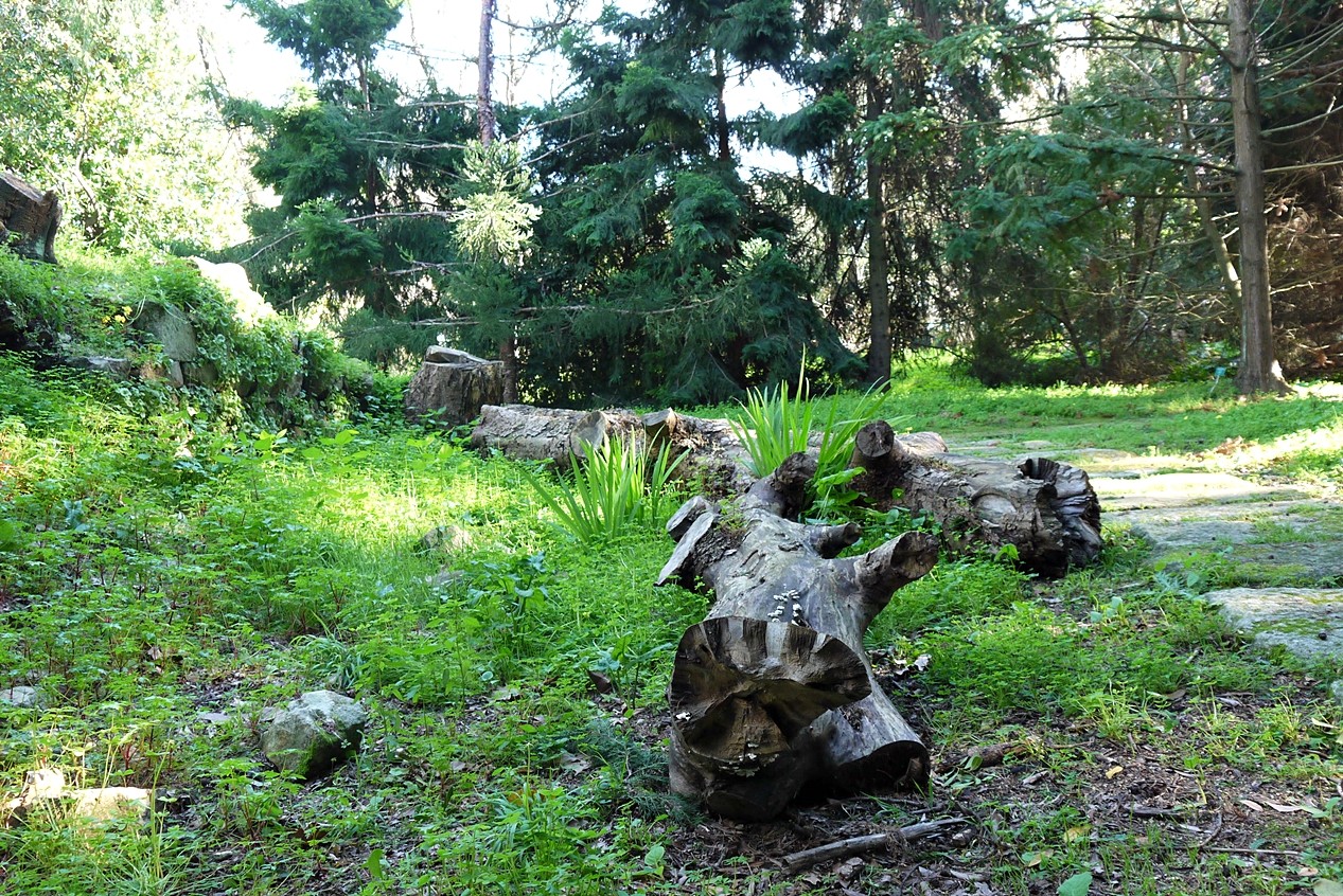 Jardim botânico7.JPG