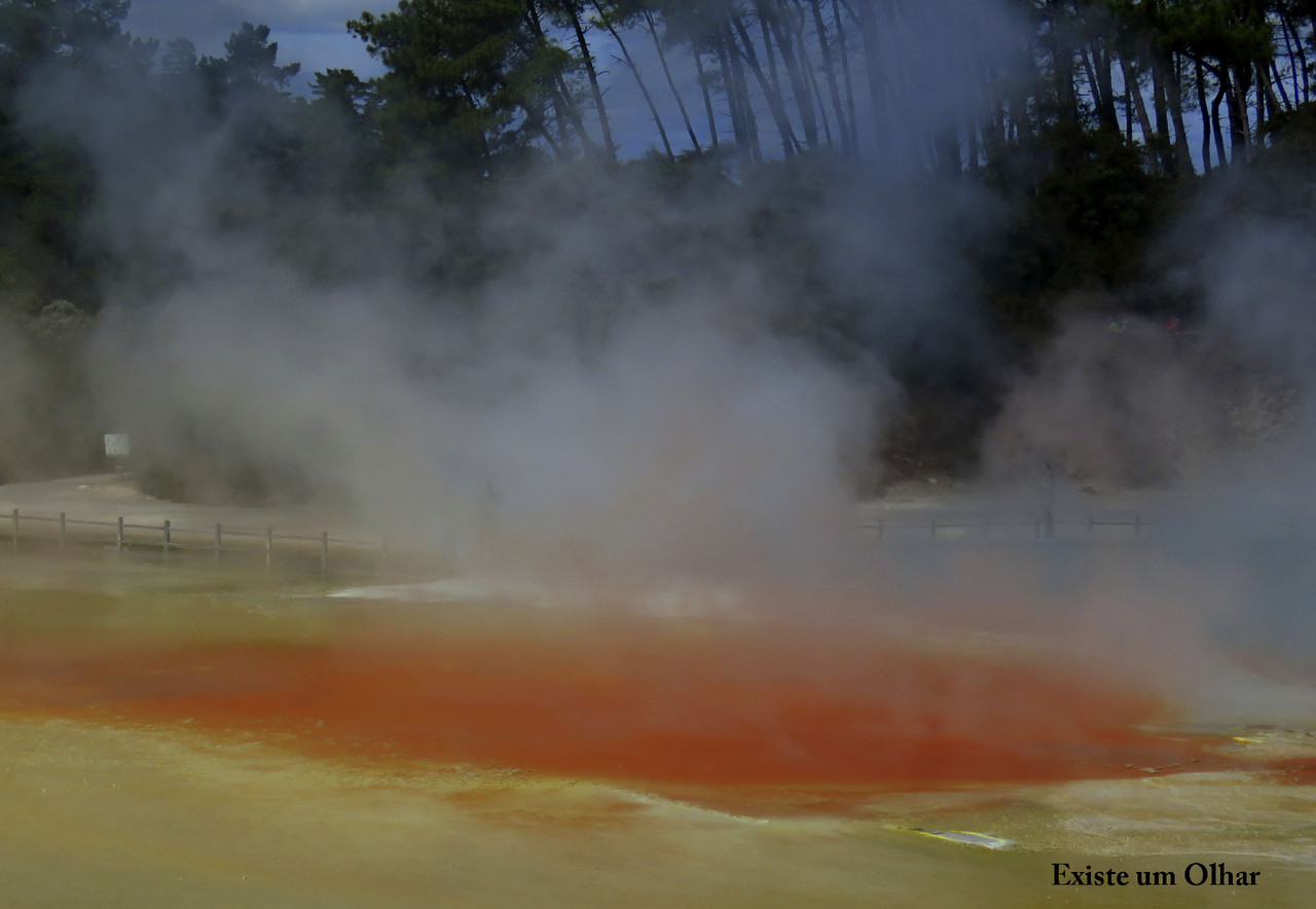 Wai-O-Tapu- Thermal Wonderland