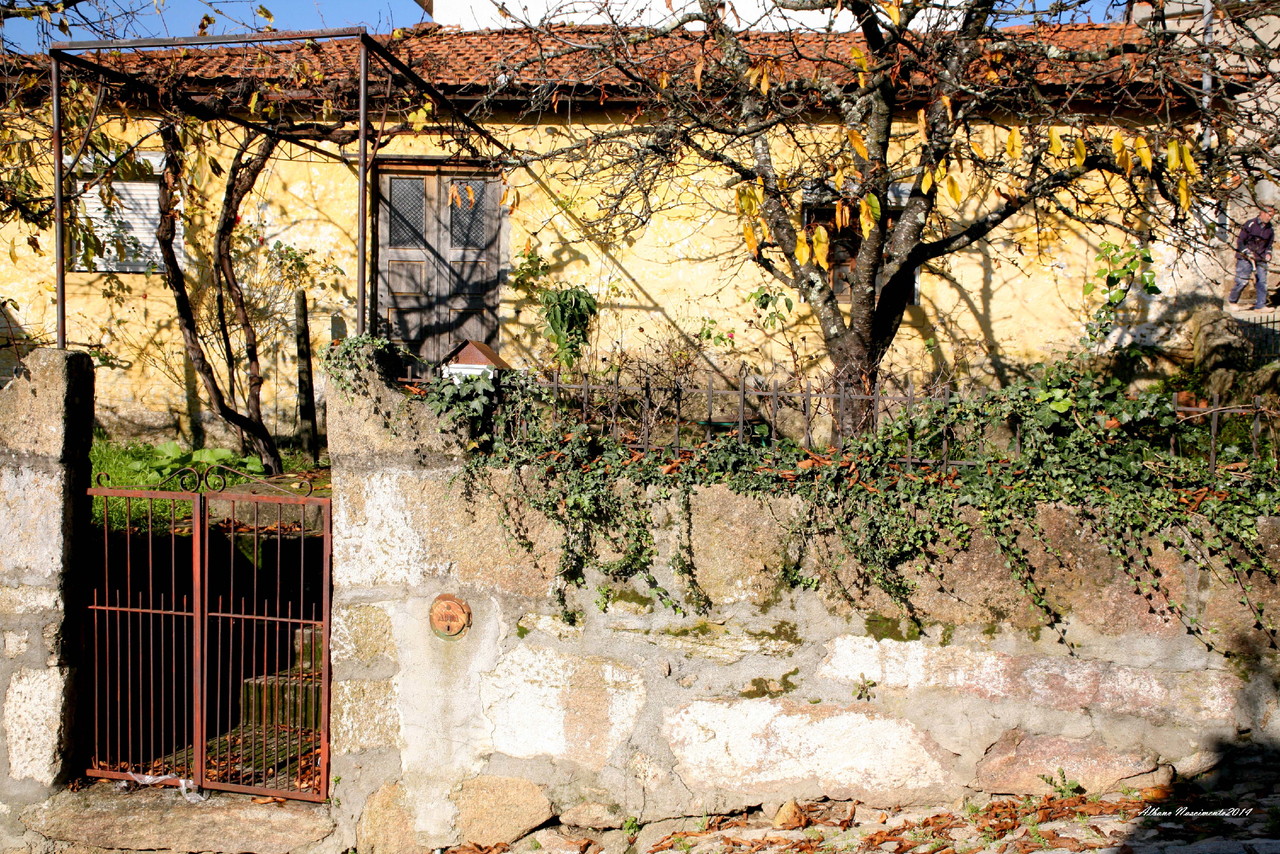 VIDAGO_9584 (20).JPG