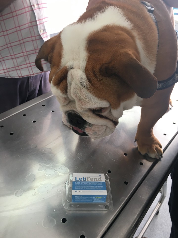 IMG_0734.JPG IMG_0734.JPG