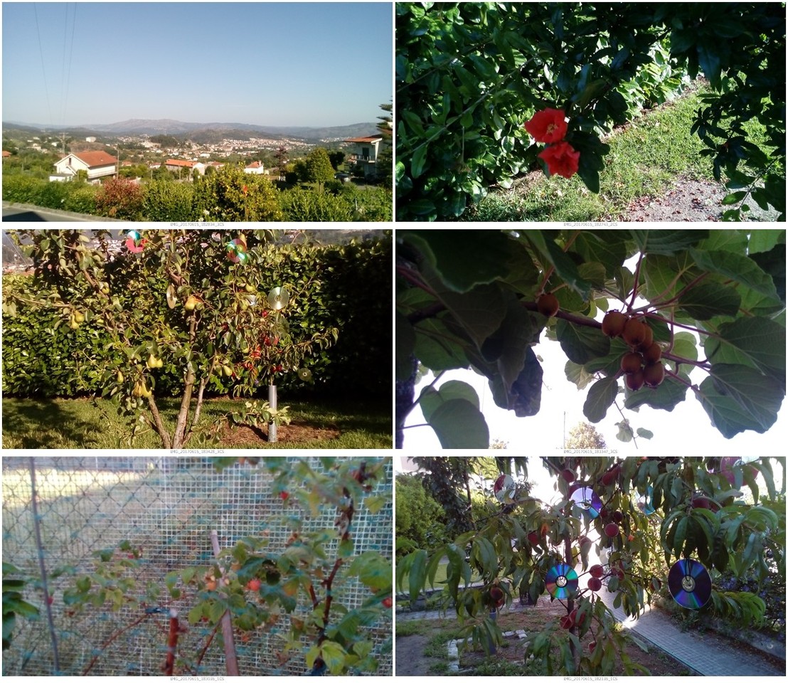 IMG_20170615_182834_3CS-tile.jpg IMG_20170615_182834_3CS-tile.jpg