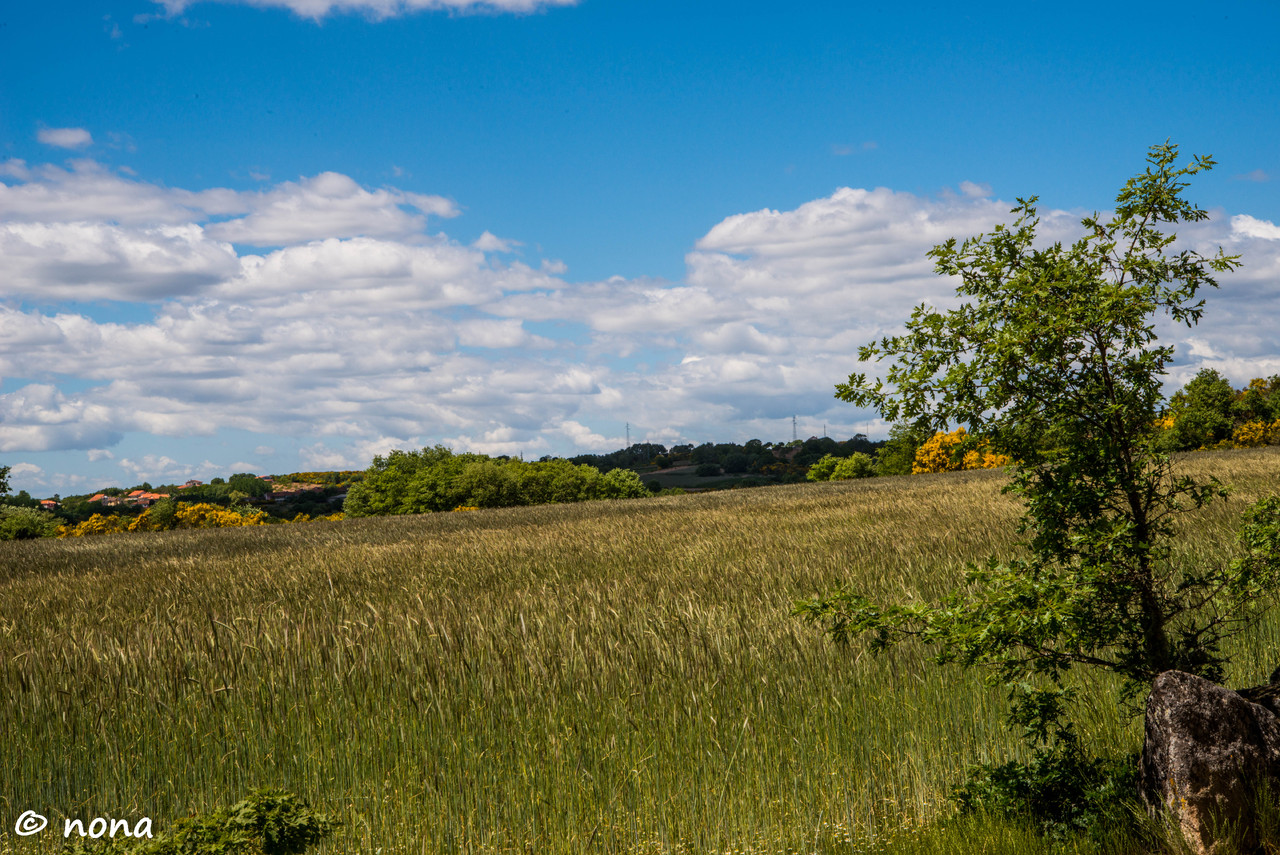 29.- Vagueando pela Montanha.jpg