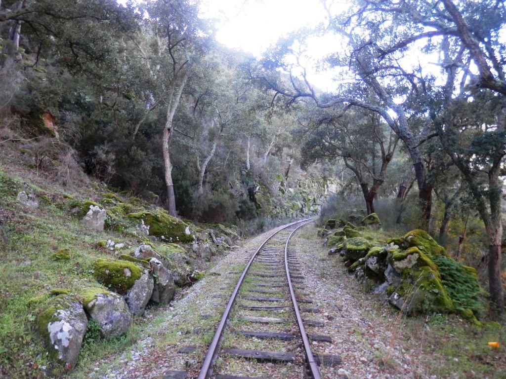 PC070833.JPG PC070833.JPG