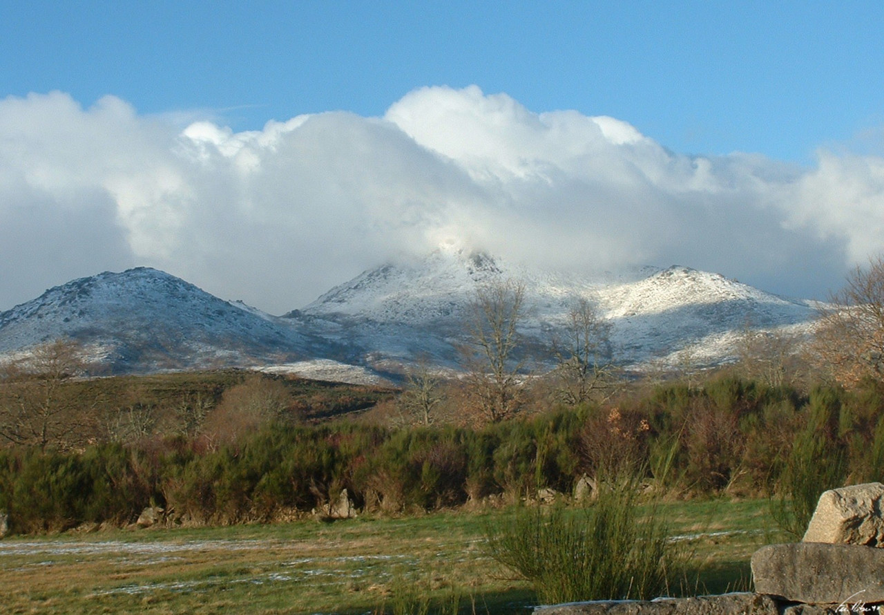 1600-montalegre (2).jpg