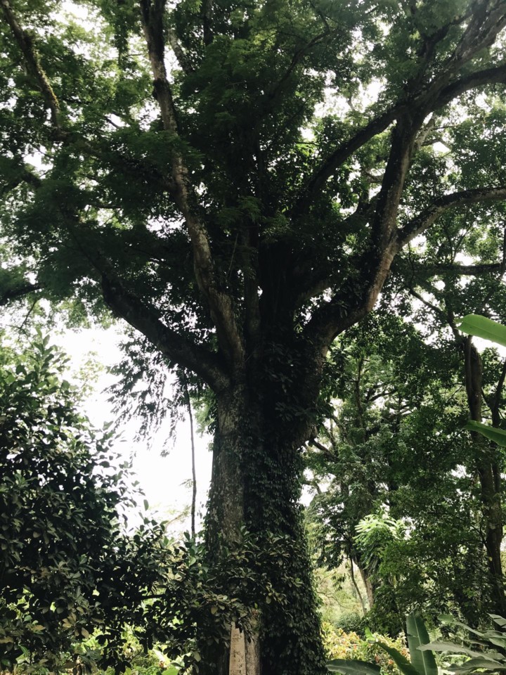 2c191100-46d5-44e6-867d-345d6df9140c.JPG 2c191100-46d5-44e6-867d-345d6df9140c.JPG