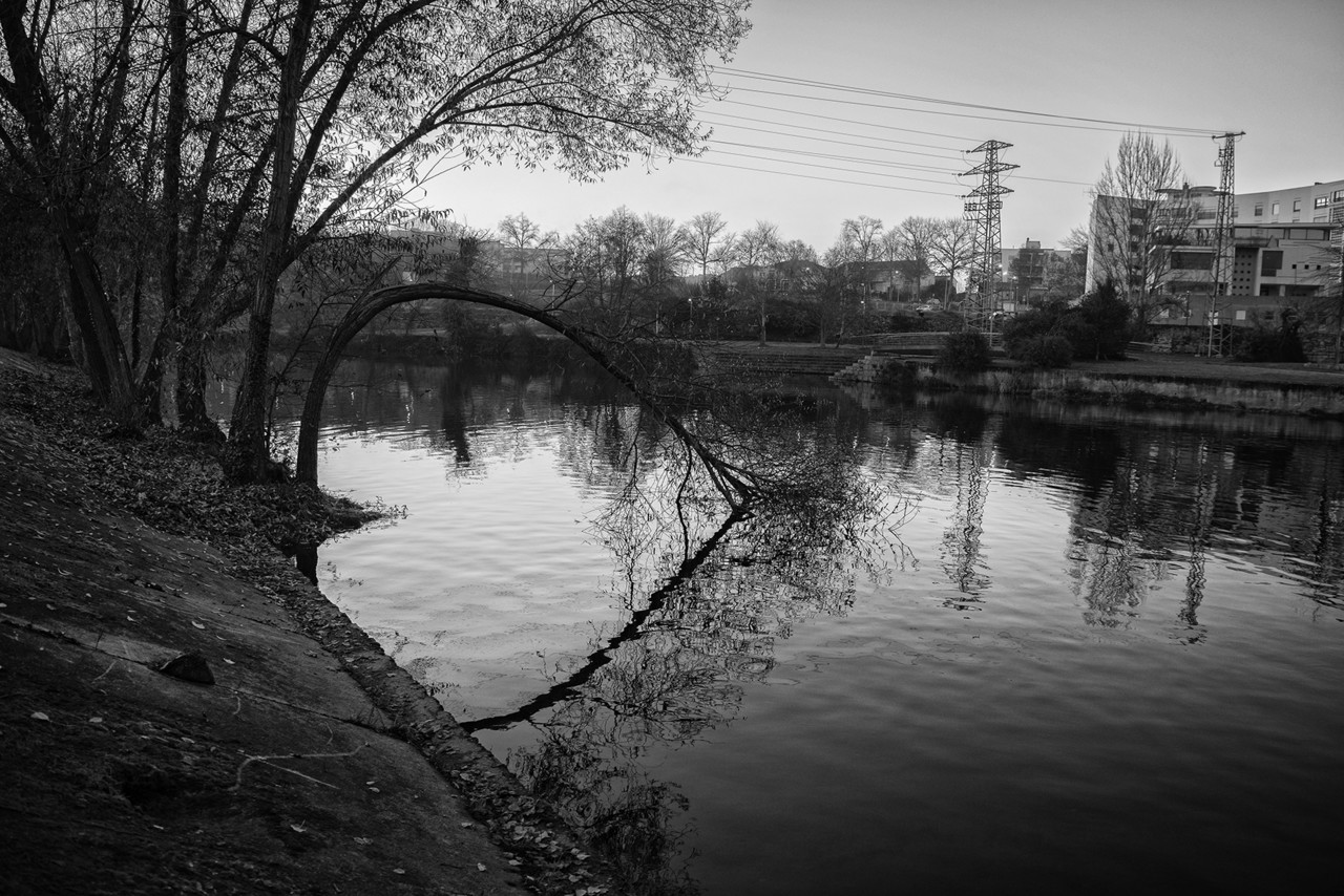 _JMF1147 - cópia copy.jpg