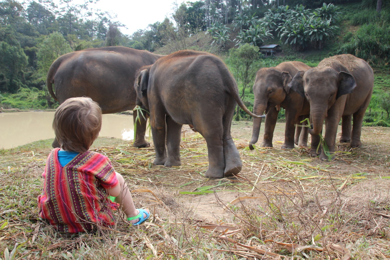 IMG_5559.JPG IMG_5559.JPG