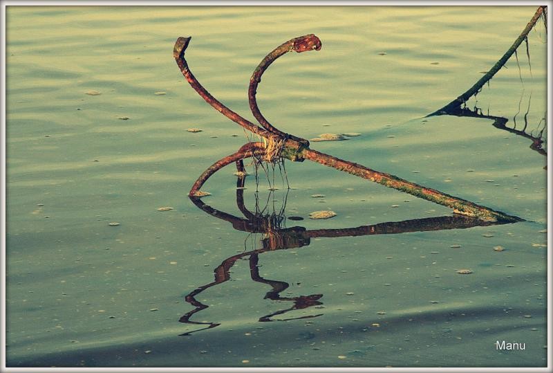 10914720_814625665242153_969475935164332882_o ânc