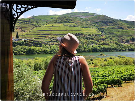 Cruzeiro no douro vs Comboio Histórico no Douro - Qual o melhor? Opinião Maria das Palavras Cruzeiro no douro vs Comboio Histórico no Douro - Qual o melhor? Opinião Maria das Palavras