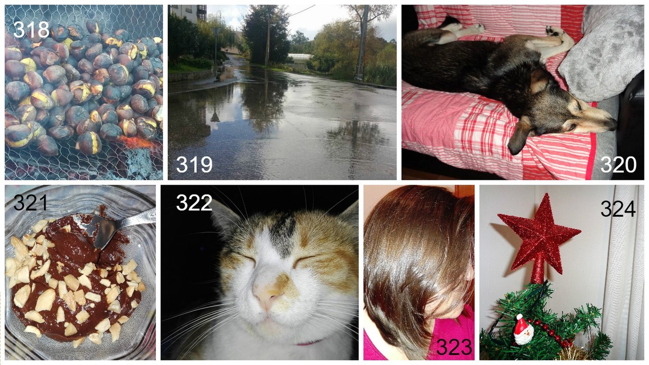 318 a 324.jpg 318 a 324.jpg