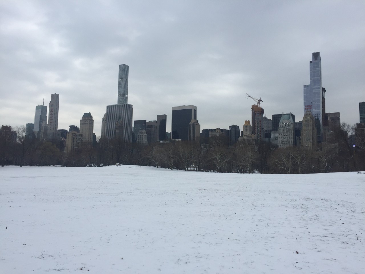 IMG_8513.JPG IMG_8513.JPG