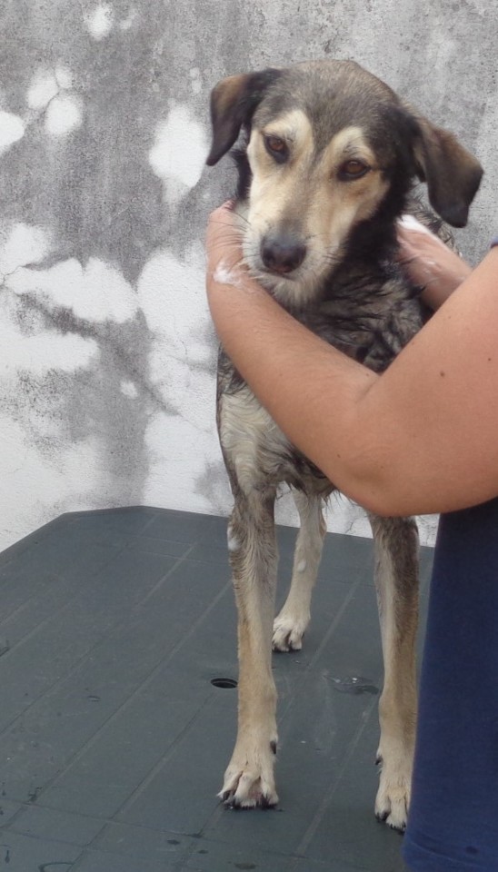 DSC00008.JPG DSC00008.JPG