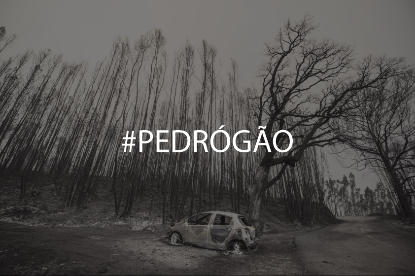 PEDRÓGÃO.png