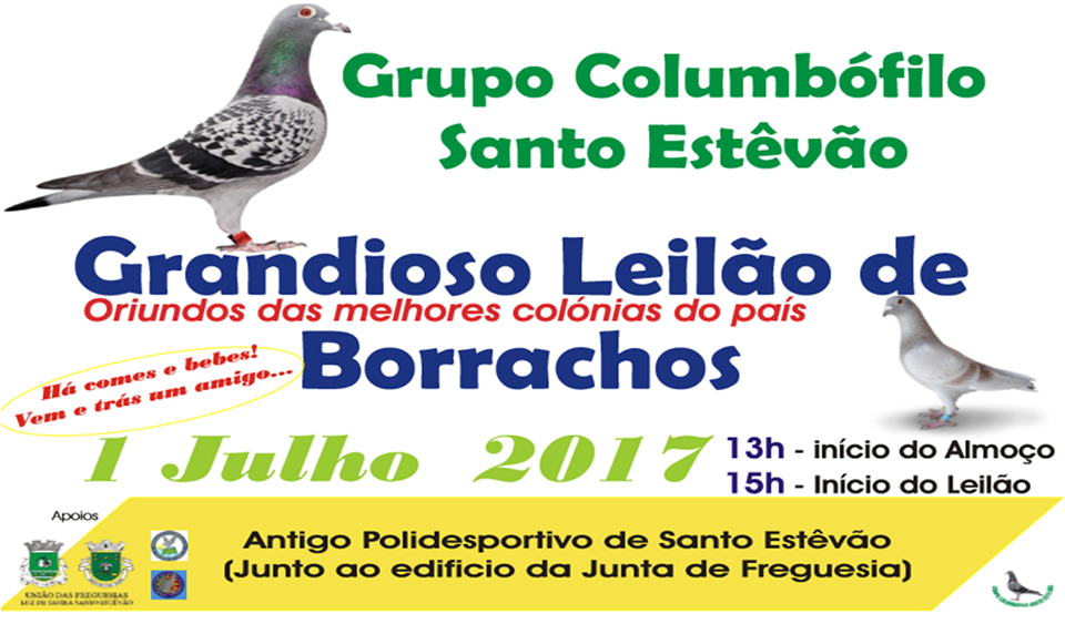 Leilão Stº Estêvão.png