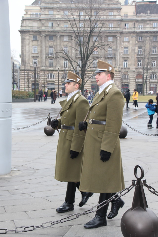 IMG_2238.JPG IMG_2238.JPG