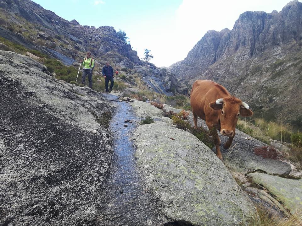 22549872_1581204155272476_8708266255222792033_n.jp 22549872_1581204155272476_8708266255222792033_n.jp