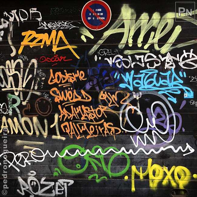 Jul_2018_030 650px.jpg