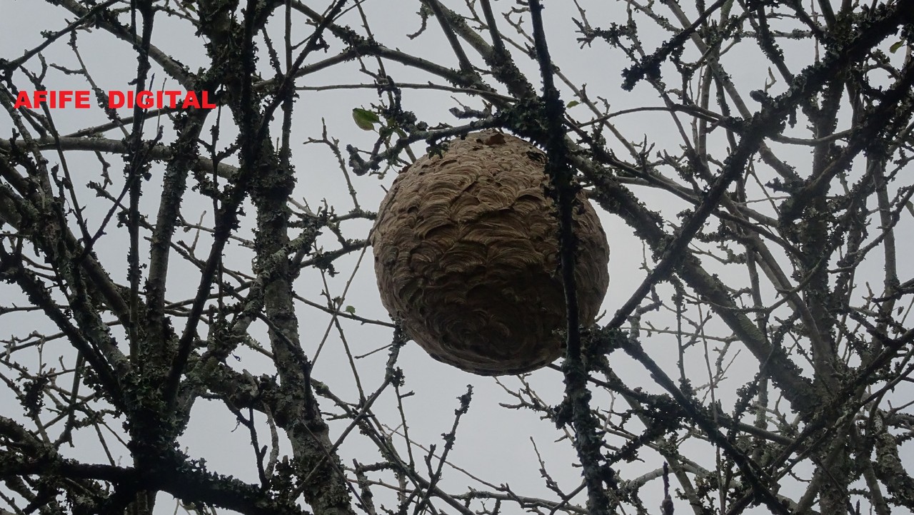 DSC03581.JPG DSC03581.JPG