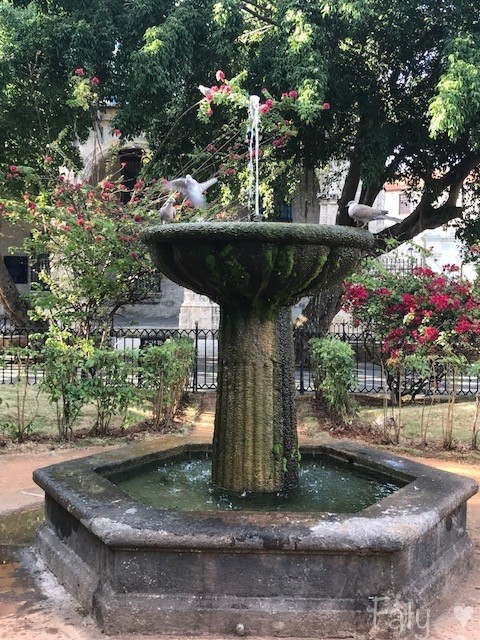 IMG_2837 2.jpg IMG_2837 2.jpg