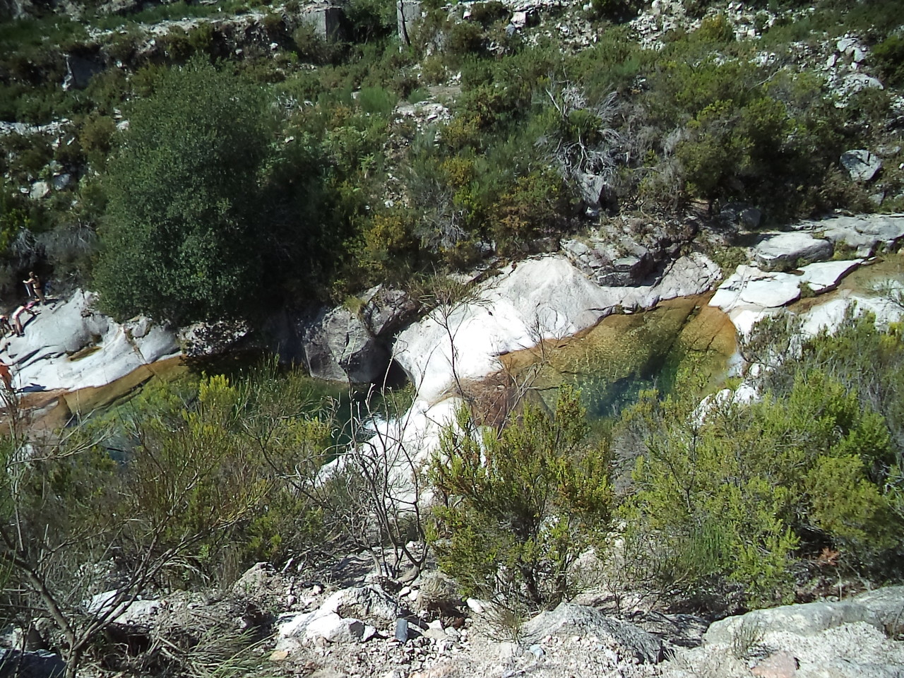 DSC08694.JPG DSC08694.JPG