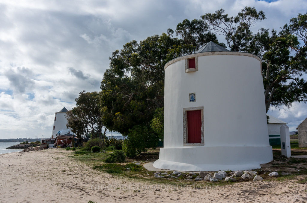 _DSC5523.jpg _DSC5523.jpg