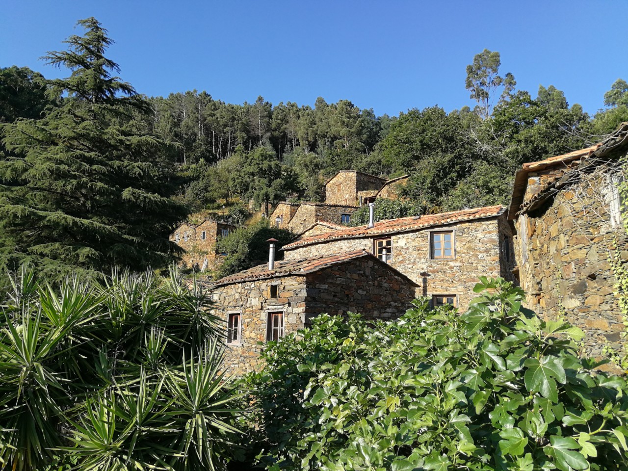 IMG_20180809_184309.jpg IMG_20180809_184309.jpg