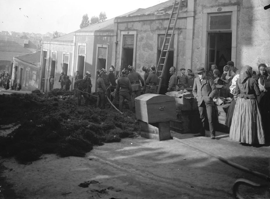 peste 4.JPG peste 4.JPG