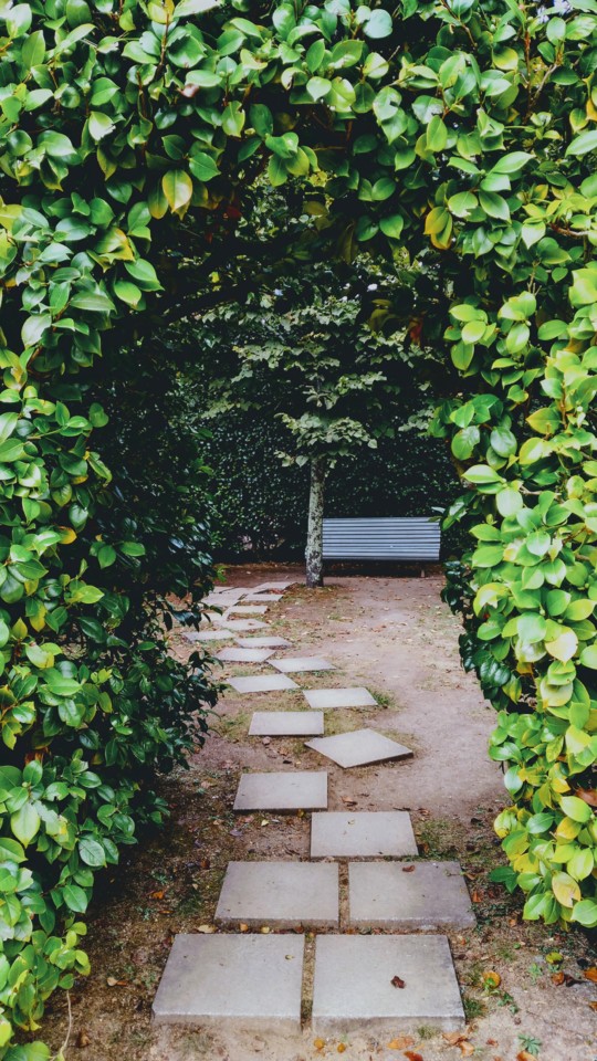 Parque de Serralves no Porto.jpg Parque de Serralves no Porto.jpg