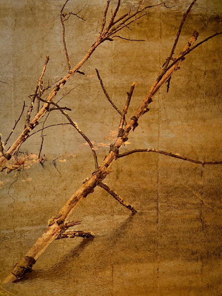 IMG_2967 - cópia.jpg