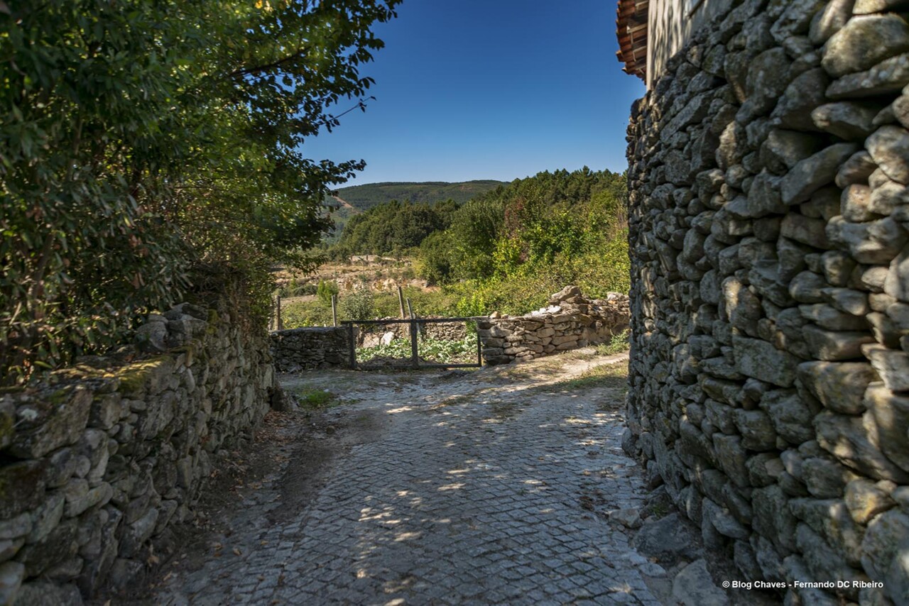 1600-ventuzelos (21).jpg