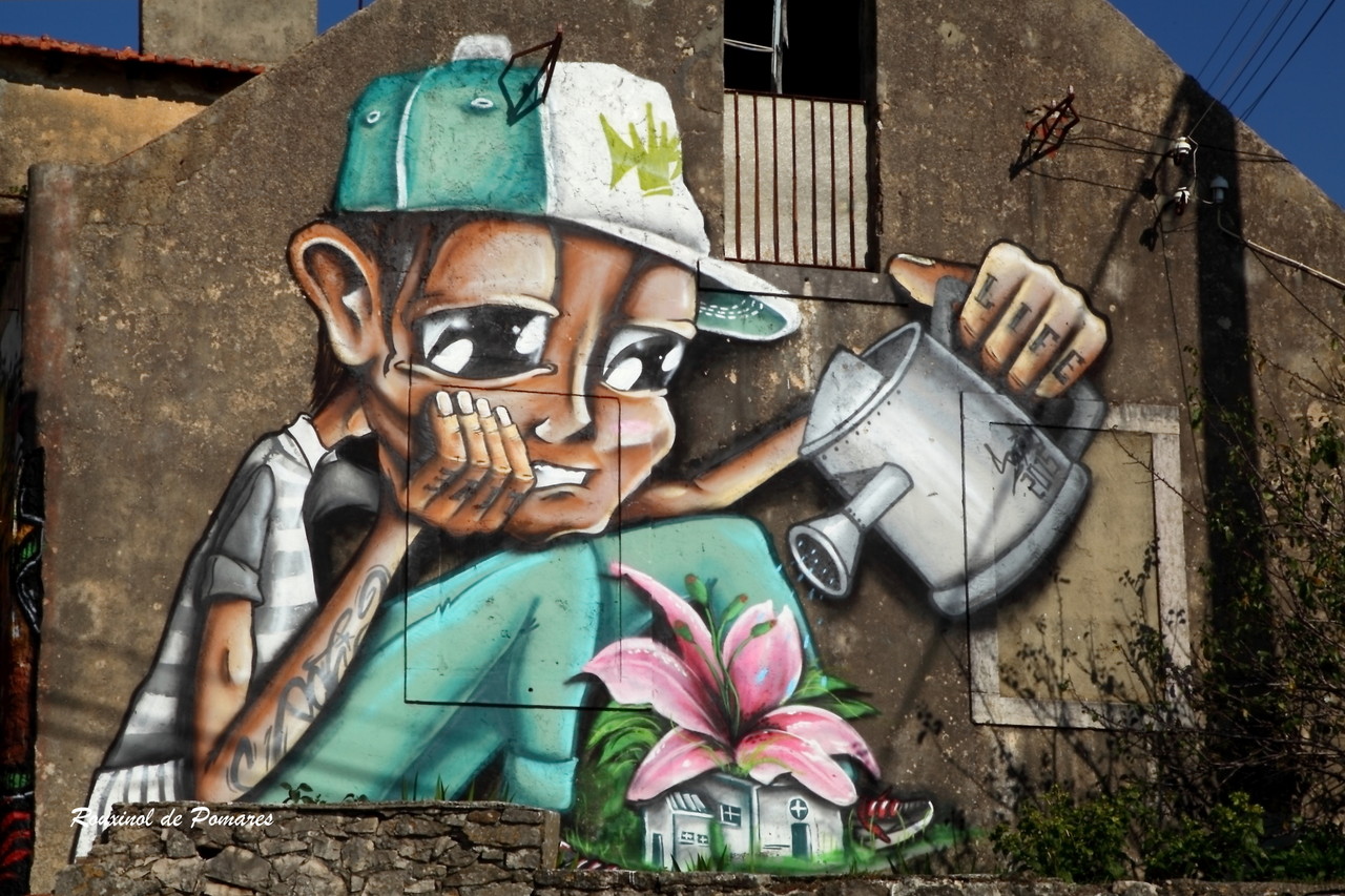 Street Art em Agualva Cacem (002)
