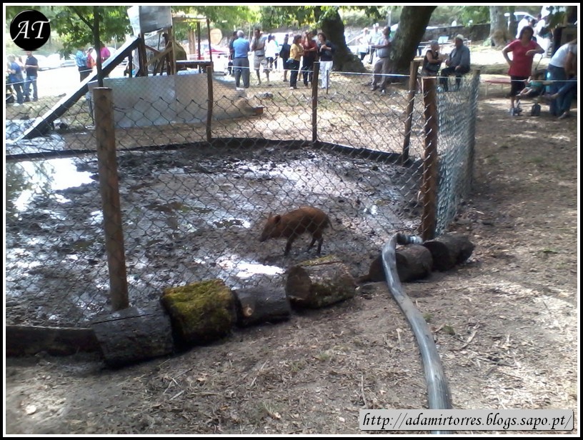 Jogos Tradicionais 2012 - 001