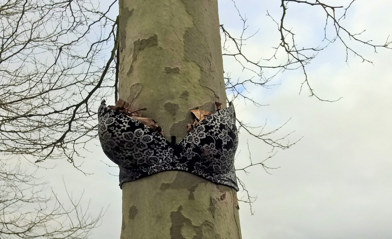 WP_20170226_16_47_09_Rich__highres (2).jpg