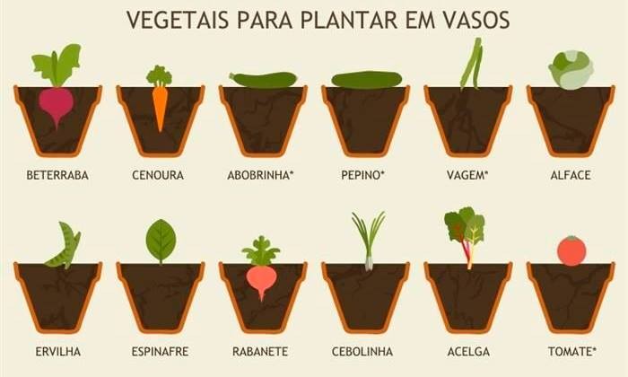 12507364_1108213402536345_5432656166460255496_n.jp