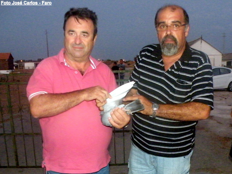 Derby Faro 2016 018.JPG