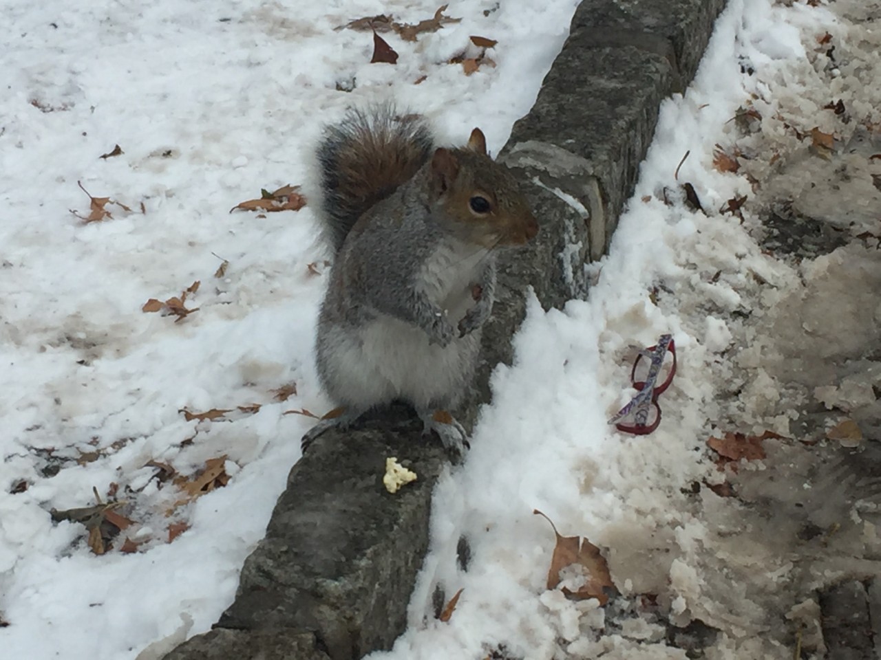 IMG_8499.JPG IMG_8499.JPG