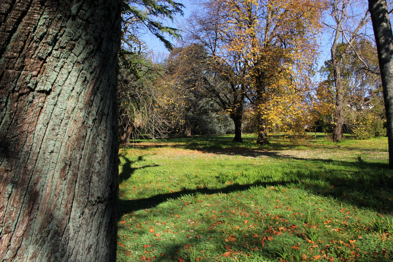 outono_1.jpg outono_1.jpg