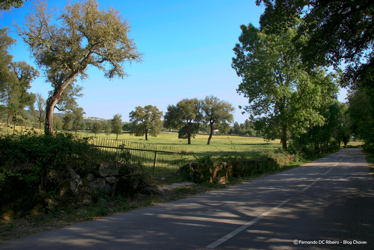 1600-vila-frade (336)-video.jpg