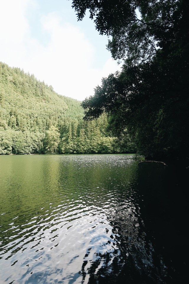 EEEF6205-4C28-4EB1-80D0-4AE0E07A201B-5B47B915-2BFE