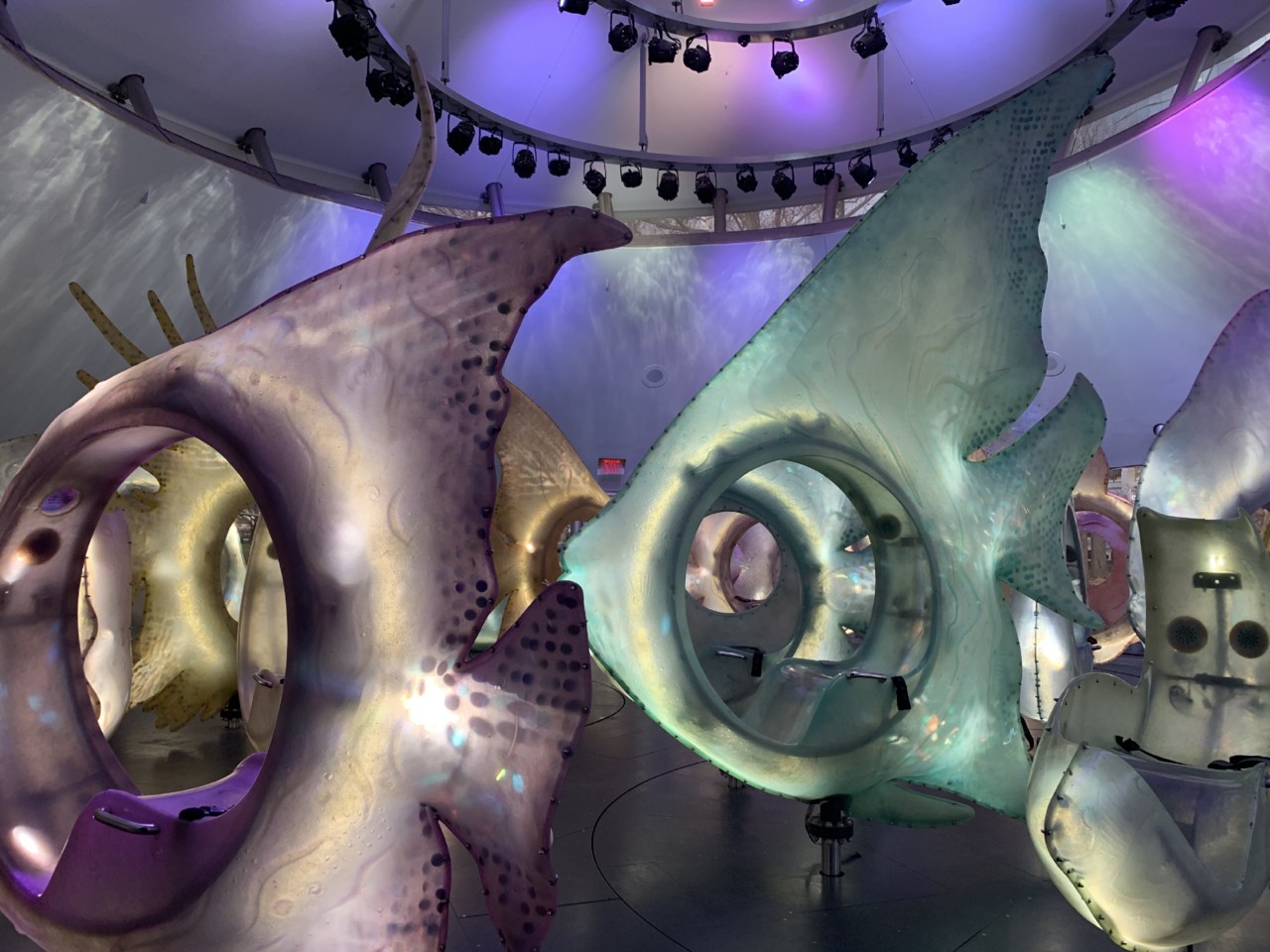 IMG_7389.jpg IMG_7389.jpg