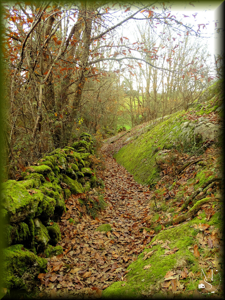 18Dez DSC05239_ms.JPG