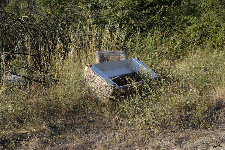 _D704319.JPG