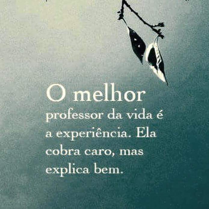 FB_IMG_1523904409681.jpg FB_IMG_1523904409681.jpg