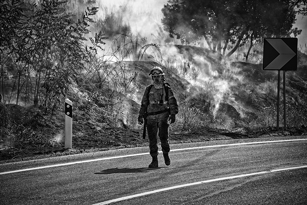 _JMF7105 - Cópia.jpg _JMF7105 - Cópia.jpg